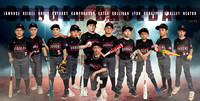 Team banners